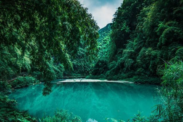 独自出国旅行要注意哪些安全问题？游戏画面