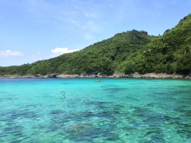 坐月子可以吃雷公根煲猪手吗?游戏画面