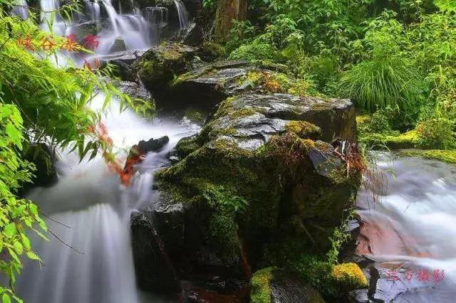 快刺水果