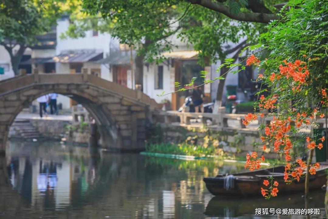 教资大二考的作废了吗游戏画面